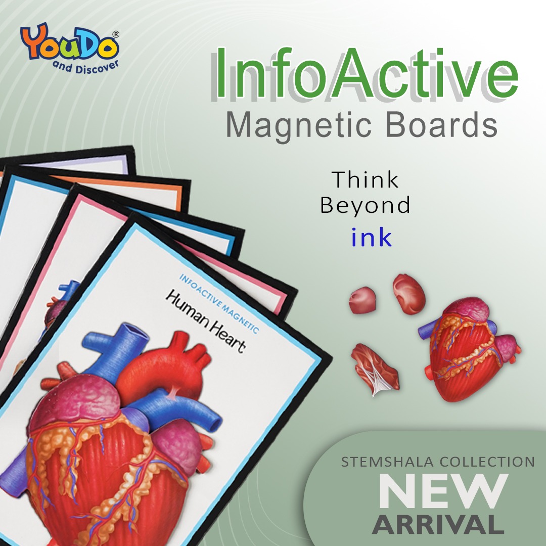 Info Active Magnetic Boards 